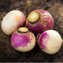 Turnip- Local - each 